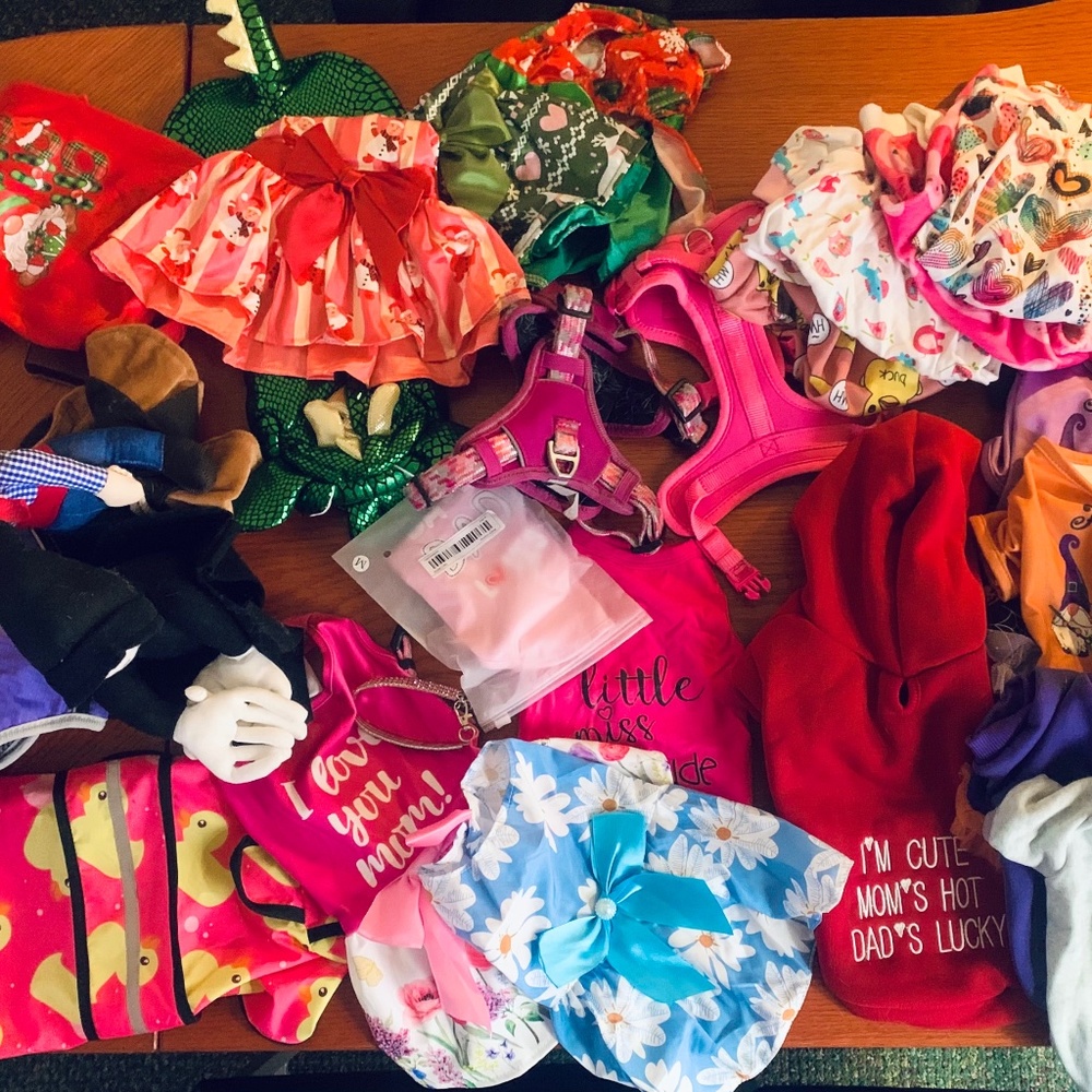 Dog Clothes and Harnesses for Small Female Dog